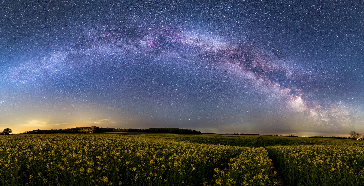 stjernehimmel med mælkevejen fotograferet over mark med gule blomster